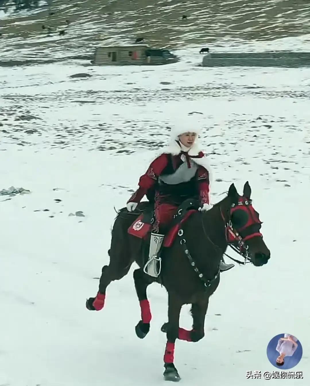 www hth com-贺娇龙离世前聊天记录曝光，年入900万，本可以躺赢!47岁仍爱折腾