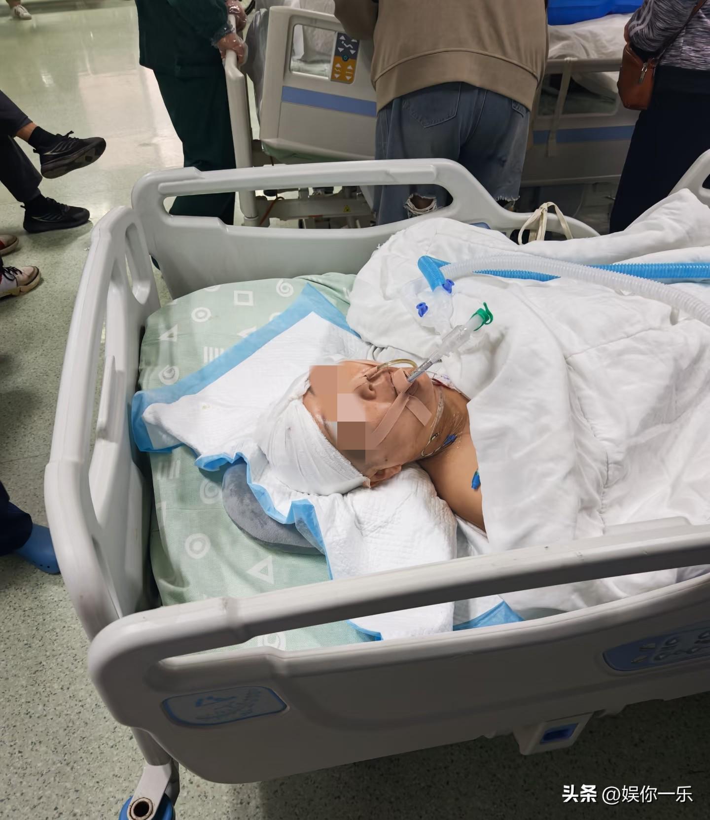 www hth com-贺娇龙离世前聊天记录曝光，年入900万，本可以躺赢!47岁仍爱折腾